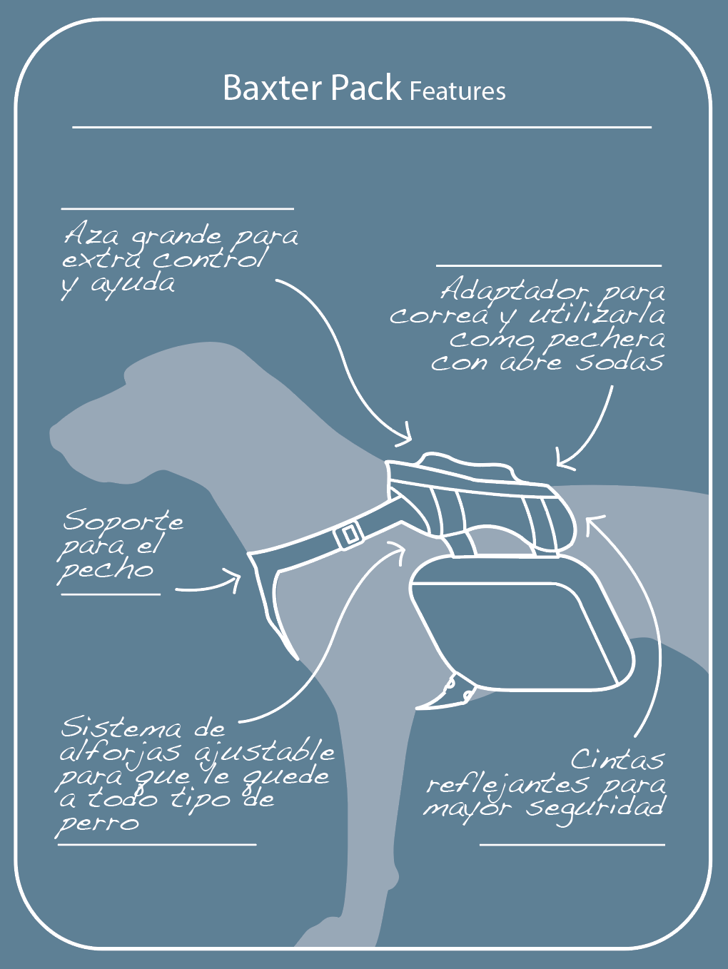 Imagen del producto 5