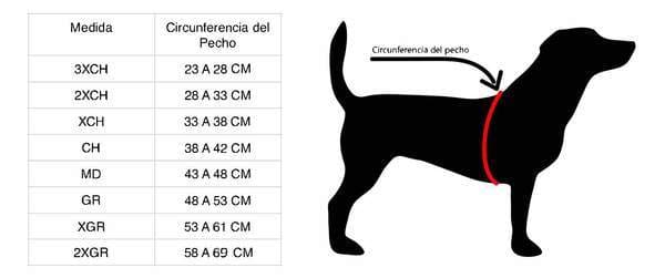Imagen del producto 42